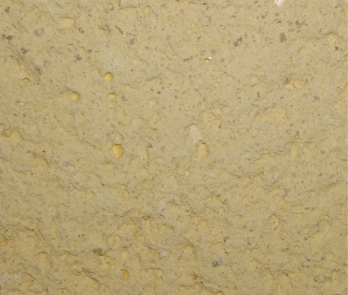 CANELA E105
