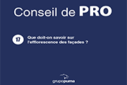 CONSEIL DE PRO 17 : Que doit-on savoir sur l'efflorescence des façades ?