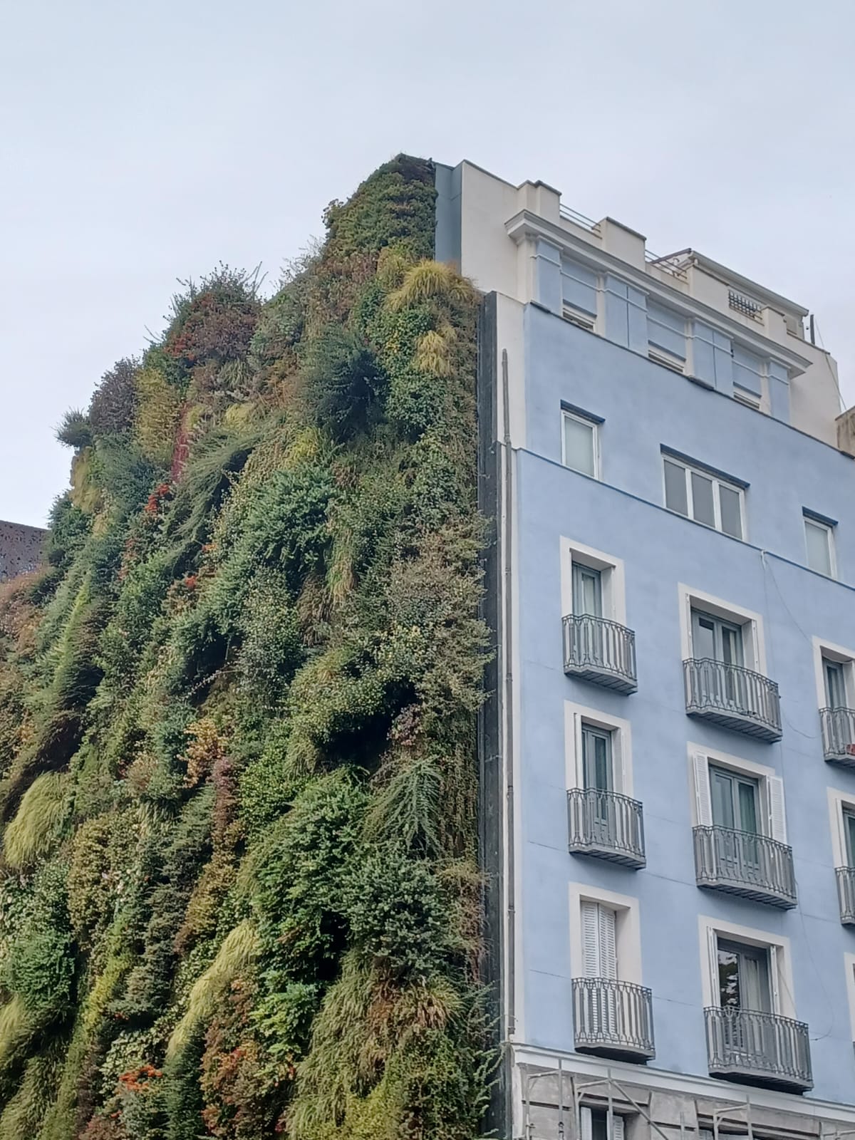 Rehabilitación edificio viviendas 