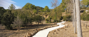 Execution of Territory Pavements of the Villa María Park (Almería)