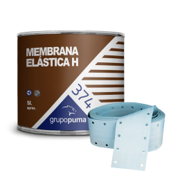 Membrana Elastica H