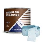 Membrana Elastica H