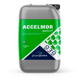 Acelmor