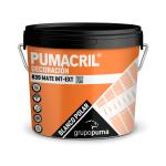 Pumacril Decoración Mate