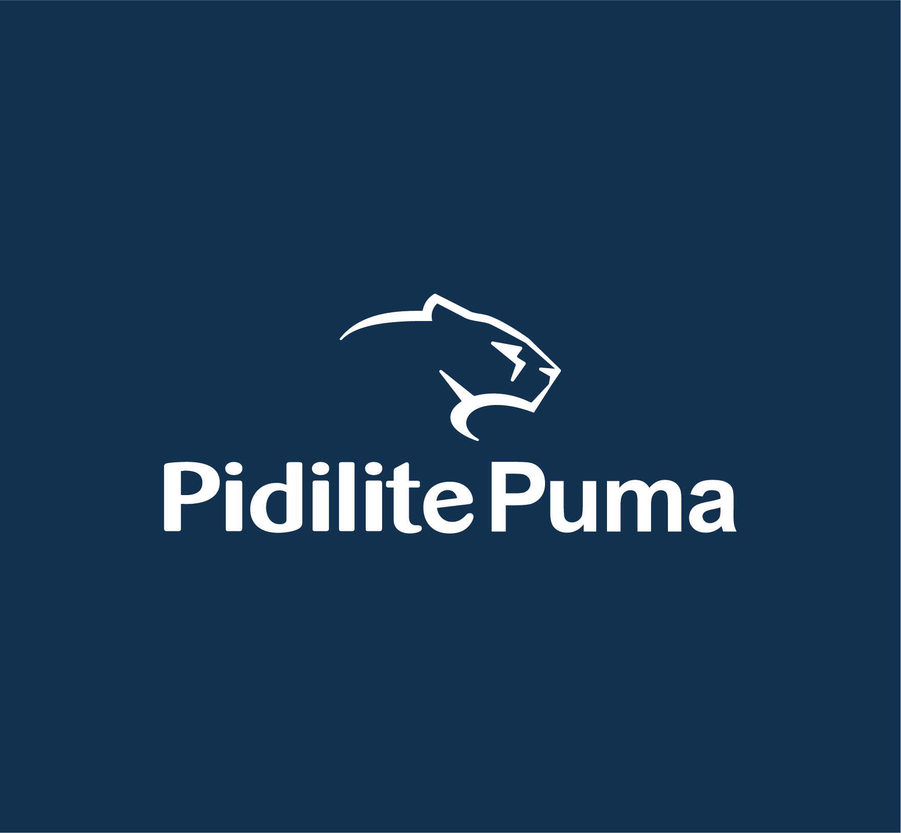 Pidilite Puma MEA Company Video